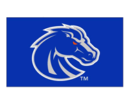 Boise State Flag 3X5 Silver-Ryl Bronco - main view