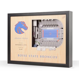 Boise State 3D Stadium Wall Art - Albertsons Stadium by YouTheFan - main view